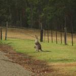 Kangaroo Valley